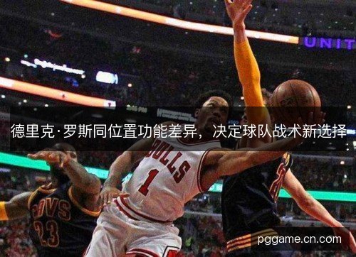 德里克·罗斯同位置功能差异,决定球队战术新选择 德里克·罗斯同位置功能差异,决定球队战术新选择